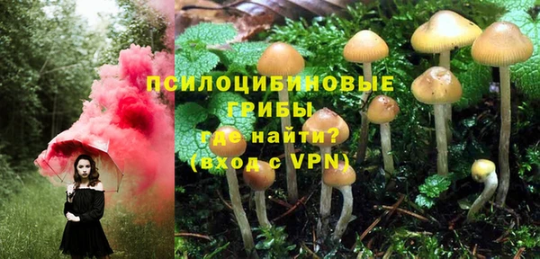 твердый Братск