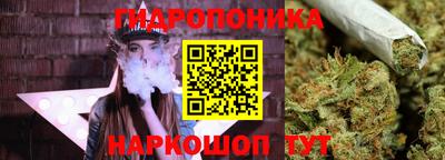 гидропоника Жуковский
