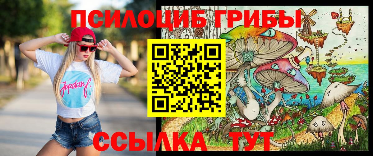 Галлюциногенные грибы Psilocybine cubensis Бирск