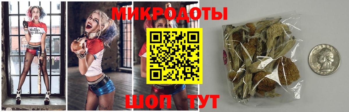 купить наркотик  Вход с VPN  Бирск  Псилоцибиновые грибы Cubensis 